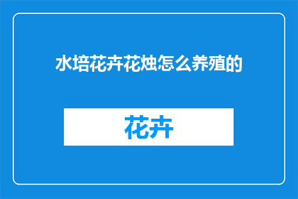 水培花卉花烛怎么养殖的(如何正确养护水培花卉花烛？)