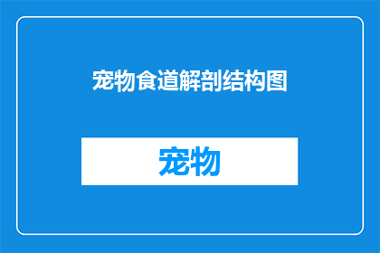 宠物食道解剖结构图(宠物食道解剖结构图：如何理解并正确处理？)